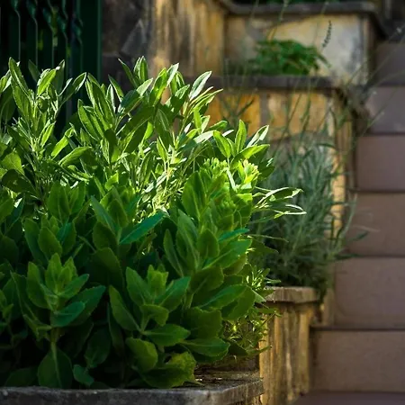 By The Sea Grebastica, - 23940 아파트 시베니크