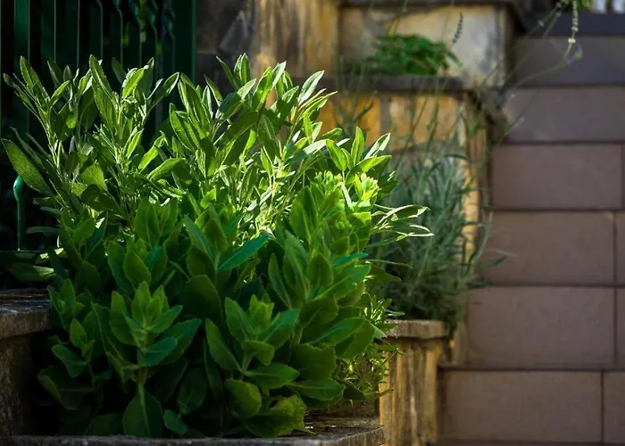 By The Sea Grebastica, - 23940 Daire Šibenik